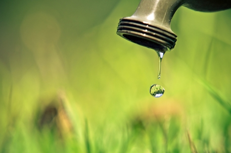 6 Water Conservation Tips for a Greener Summer